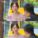 영철목장 머니투데이
