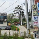 강릉 여행 경포대 서핑 더퍼니서프 숙박 후기