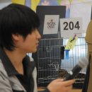 실버캐슬 캐터리 이미지