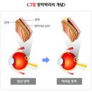 박리 이미지
