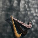 지-플랙스