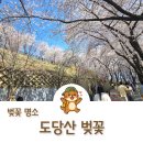 까치울역(7호선)(시비설치) | 부천 페스타 봄꽃여행 도당산 벚꽃 축제 기간 명소