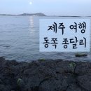 [국내 여행] 제주 혼자 여행 종달리 숙소 식당 추천 후기
