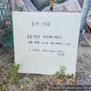 [양산 호포] 현지인 메기 매운탕 맛집 &#39;포구나무집&#39; 주말 웨이팅 후기 (feat. 주차 팁 등)