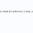 데일리모터스 이미지
