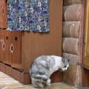 홍성불가마 이미지