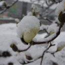 녹송공원 이미지