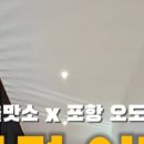 오도361 이미지