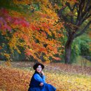 능내공원 이미지