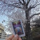 A-19 | 7년만에 열린 박효신 콘서트 LIVE A &amp; E 2026 중콘 다녀온 후기 (&amp;7구역 19열)