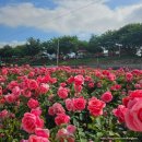 장일공업사 이미지