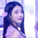 코인뮤직뱅크 이미지