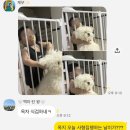 그린옷수선집 | [일기] 5/11 - 5/17