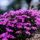 전원농장 이미지