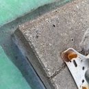 남동천 | 공동옥상방수비용문제 방수재시공시간