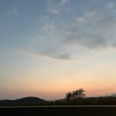 송아숲 - 12919 | 송아숲