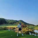 외룡묵밥집 | 5월필드)언제 가도 좋은 신라cc 라운딩 후기!