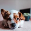 현가한의원 이미지