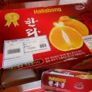 제주농장 이미지