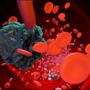 엄지한의원 이미지