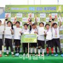 올림픽공원 인조잔디축구장 이미지