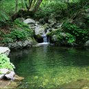 이재옥농장 이미지