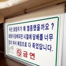 안면도 영목항 현해탄횟집