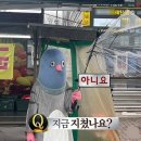 하나돈까스반여점