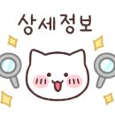 VM모터스 이미지