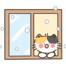 라인아트의원 네이버블로그
