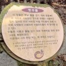 거북찻집 | 대구 달성 마비정 벽화마을