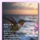 벌새가 사는 법 - 천양희 이미지