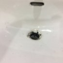 수리의 왕국 이미지