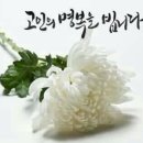배상현 이미지