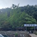 두메산골식당 앞 이미지