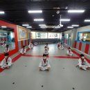 용인대 경일태권도 이미지