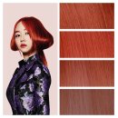 헤어홀릭 이미지