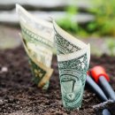 지니 나비 이미지