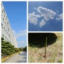 N.C공인중개사사무소 이미지