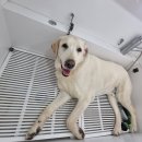 신남케어 이미지