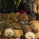 똘이PC방 이미지