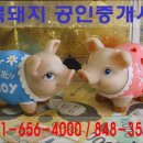 가능1동SK아파트옆 이미지