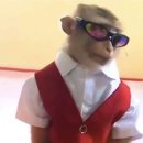 해빙데이 | 2월 일기/우리는 다시 만나게 될 것입니다, 하고 나는 외쳤다