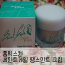 세인트12달 | [기미크림/색소침착크림]홍익스킨 땡스민트 크림