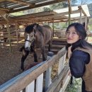 동현목장 이미지