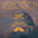 지아'조 이미지