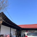 피자파파 이미지