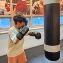 라이언복싱gym 이미지