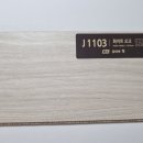 J1102 이미지