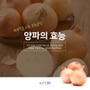 4라이프리서치코리아